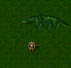 Player in Orc form